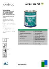 AkzoNobel Akri̇pol Bazkat HYUNDAİ CS CLEAN SILVER Akri̇li̇k Sonkat Oto Boyası 1 Litre