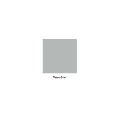 Polisan Exelans Silikonlu Dış Cephe Boyası 2,5 Litre