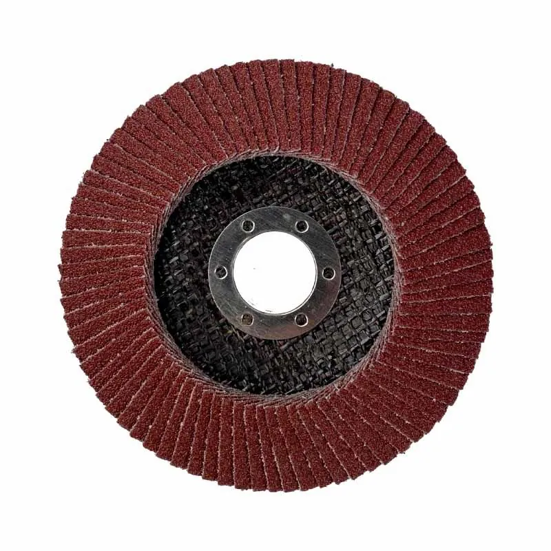 Schanall Alüminyum Oksit Flap Disk Zımpara P60 2