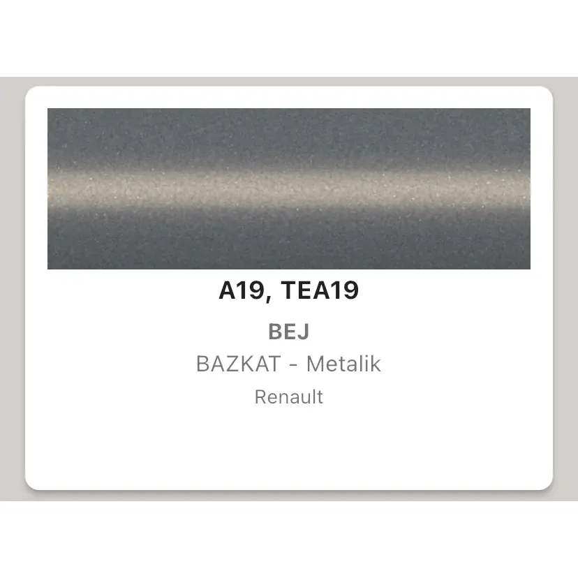 Renault Clio Bej A19 Rötuş Boyası Seti M5 ReTouch Baz 2