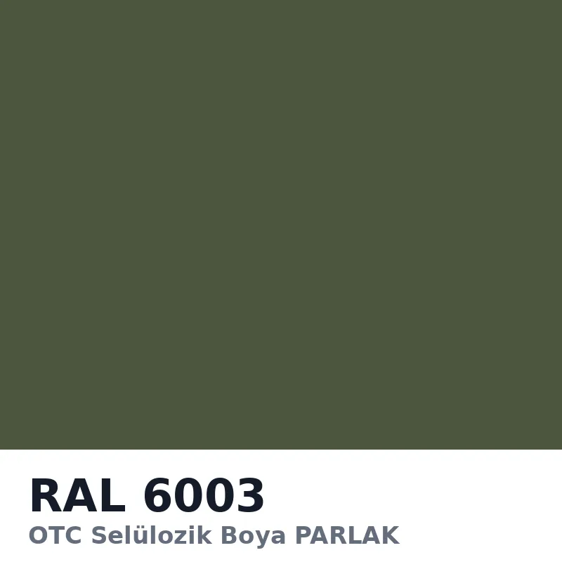 OTC Selülozik Boya PARLAK 18kg RAL6003