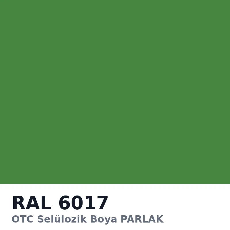 OTC Selülozik Boya PARLAK 18kg RAL6017